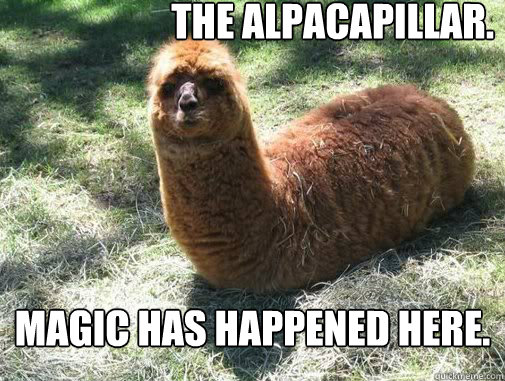 The Alpacapillar. Magic has happened here.  Alpacapillar