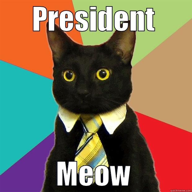 PRESIDENT MEOW Business Cat