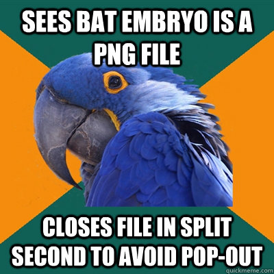 Sees bat embryo is a png file Closes file in split second to avoid pop-out  Paranoid Parrot