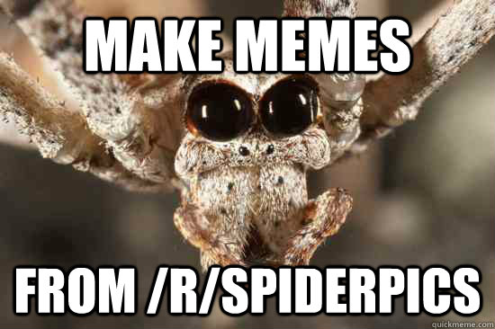 Make Memes from /r/spiderpics - Make Memes from /r/spiderpics  Misc