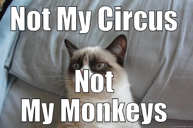 Not my circus - NOT MY CIRCUS NOT MY MONKEYS Grumpy Cat
