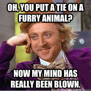 Oh, you put a tie on a furry animal? now my mind has really been blown.  Creepy Wonka