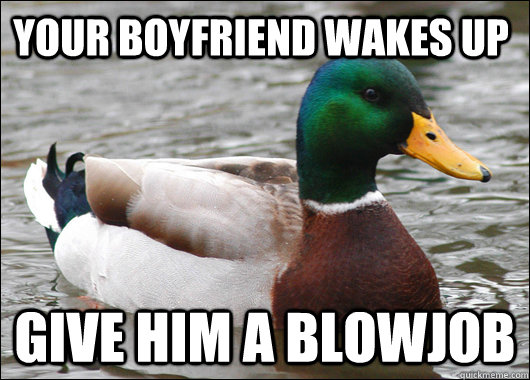 Your boyfriend wakes up give him a blowjob  Actual Advice Mallard