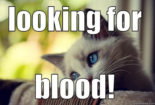LOOKING FOR BLOOD! First World Problems Cat