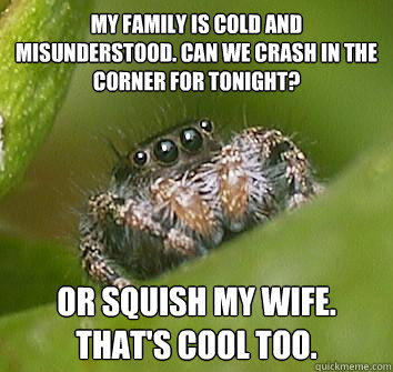 my family is cold and misunderstood. Can we crash in the corner for tonight? Or squish my wife. That's cool too.  Misunderstood Spider