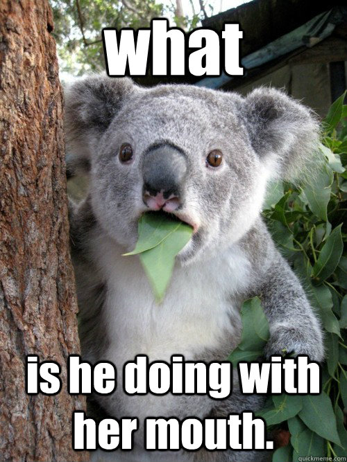 what 
 is he doing with her mouth. - what 
 is he doing with her mouth.  Shocked Koala
