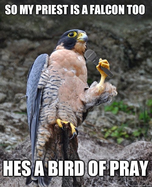 So my priest is a falcon too Hes a bird of pray  
