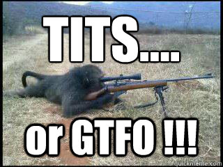 TITS.... or GTFO !!!  Mad Monkey