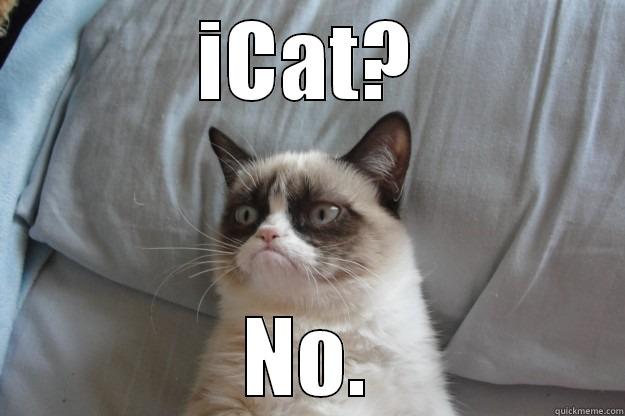 ICAT? NO. Grumpy Cat