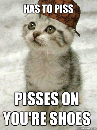 Has to piss PISSES ON YOU're shoes  