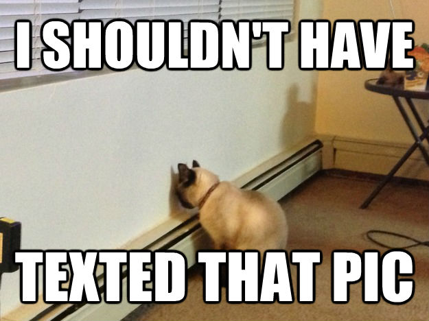 I SHOULDN'T HAVE TEXTED THAT PIC - I SHOULDN'T HAVE TEXTED THAT PIC  Regretful Cat