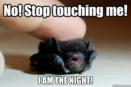 No! Stop touching me! I AM THE NIGHT!  