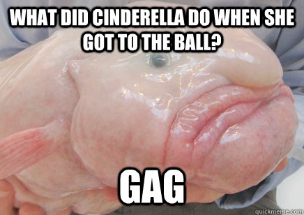 What did cinderella do when she got to the ball? gag - What did cinderella do when she got to the ball? gag  Bad Joke Blobfish