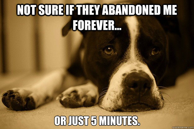 Not sure if they abandoned me forever... or just 5 minutes.  First world problems dog