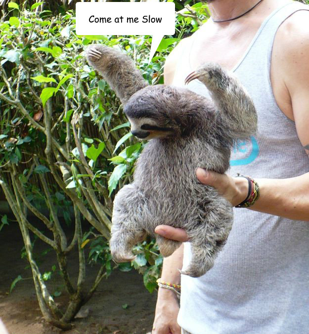 Come at me Slow - Come at me Slow  Come at me...