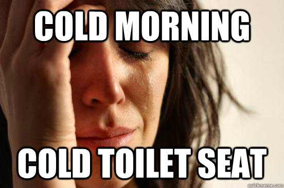 Cold morning cold toilet seat  First World Problems
