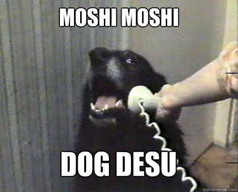 Moshi moshi dog desu  yes this is dog