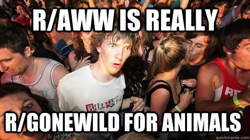 r/aww is really r/gonewild for animals  Sudden Clarity Clarence