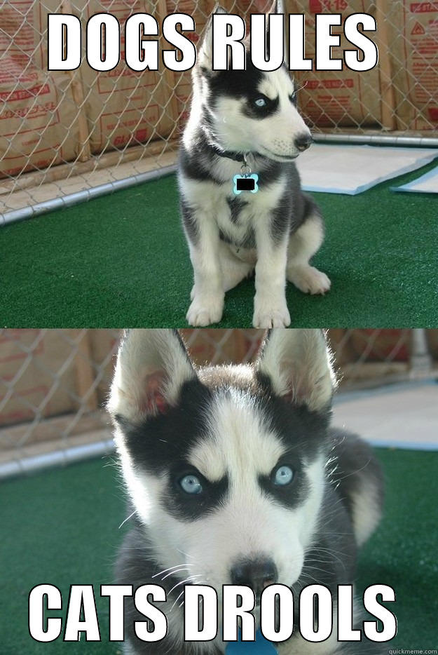 DOGS RULES CATS DROOLS Insanity puppy