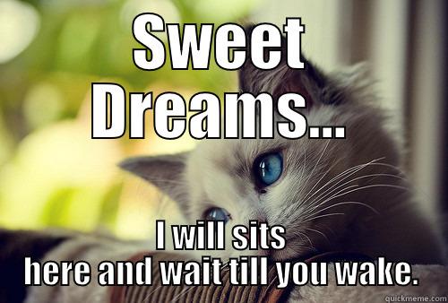 Sweet Dreams - SWEET DREAMS... I WILL SITS HERE AND WAIT TILL YOU WAKE. First World Problems Cat