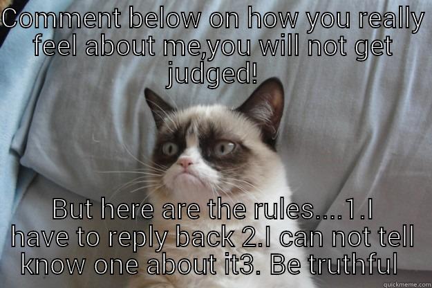 COMMENT BELOW ON HOW YOU REALLY FEEL ABOUT ME,YOU WILL NOT GET JUDGED! BUT HERE ARE THE RULES....1.I HAVE TO REPLY BACK 2.I CAN NOT TELL KNOW ONE ABOUT IT3. BE TRUTHFUL  Grumpy Cat