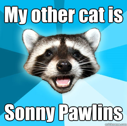 My other cat is  Sonny Pawlins  Lame Pun Coon