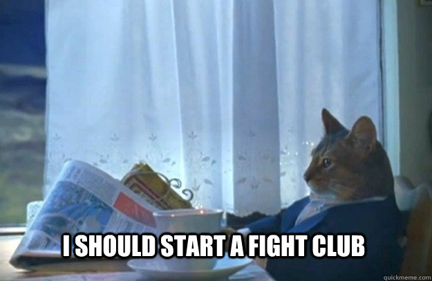 I should start a fight club  Sophisticated Cat