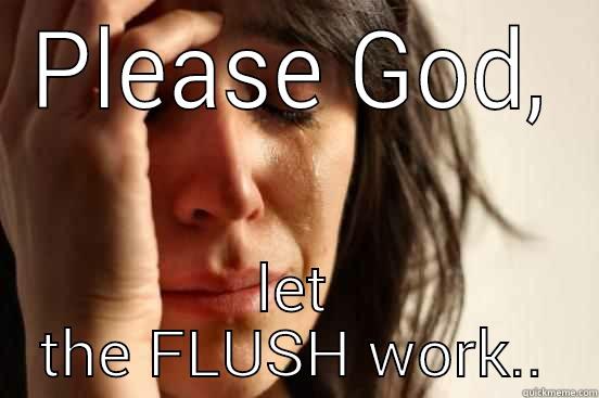 PLEASE GOD, LET THE FLUSH WORK.. First World Problems