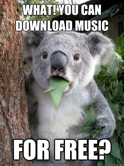 What! You can download Music for free? - What! You can download Music for free?  Surprised Koala