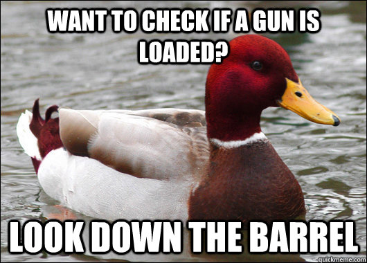 want to check if a gun is loaded? look down the barrel - want to check if a gun is loaded? look down the barrel  Malicious Advice Mallard