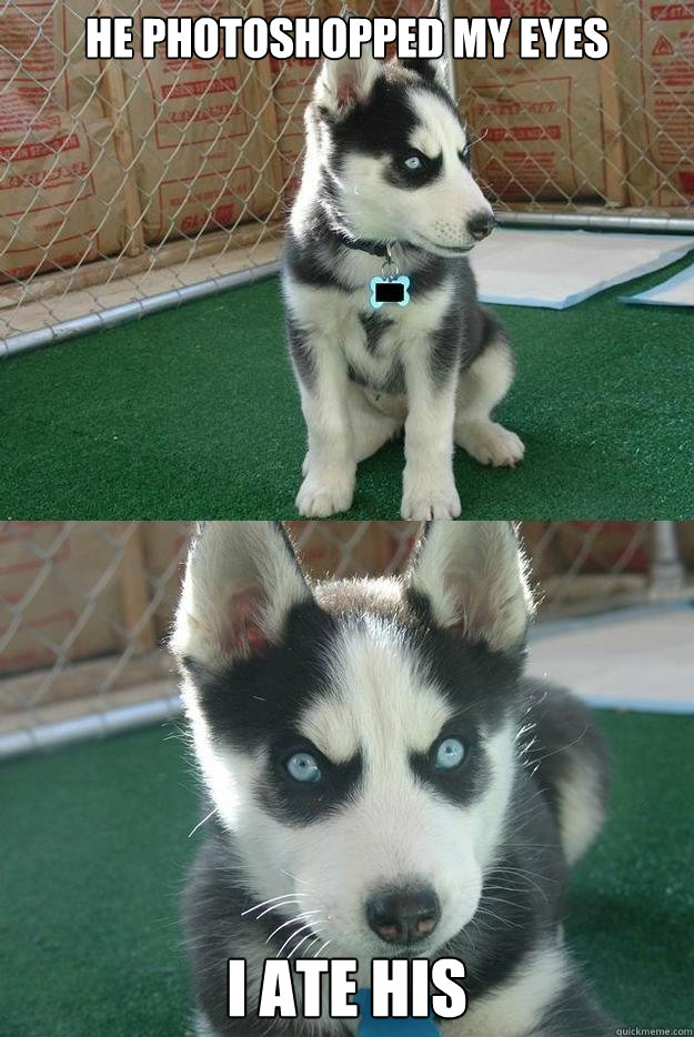 he photoshopped my eyes i ate his  Insanity puppy