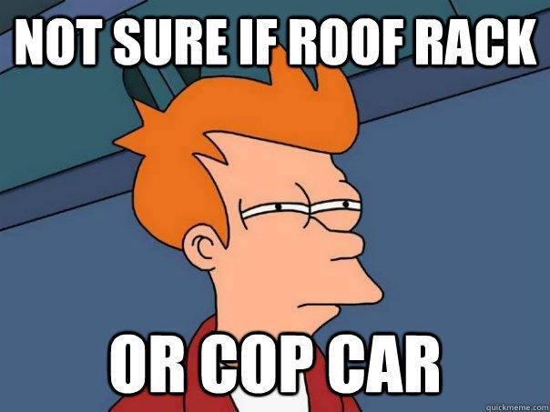 Not sure if roof rack or cop car  Futurama Fry