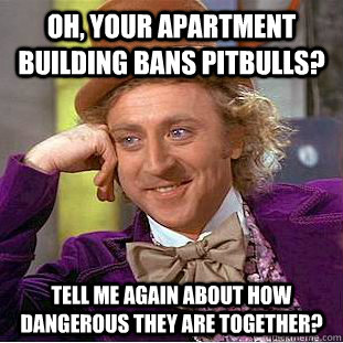 Oh, your apartment building bans pitbulls? tell me again about how dangerous they are together? - Oh, your apartment building bans pitbulls? tell me again about how dangerous they are together?  Condescending Wonka
