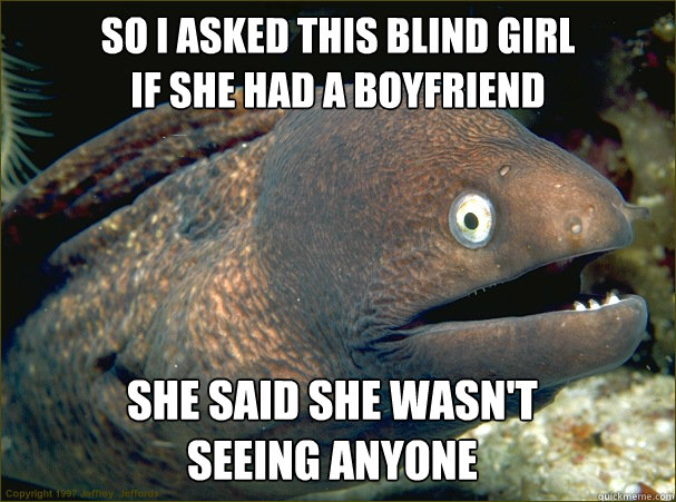 so i asked this blind girl 
if she had a boyfriend she said she wasn't 
seeing anyone  Bad Joke Eel
