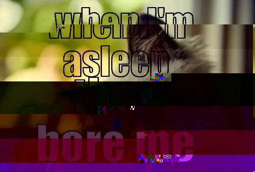 WHEN I'M ASLEEP THEY BORE ME First World Problems Cat