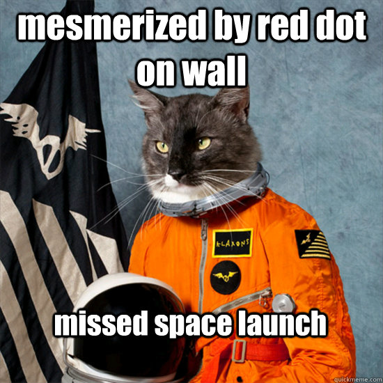 mesmerized by red dot on wall missed space launch  cat astronaut