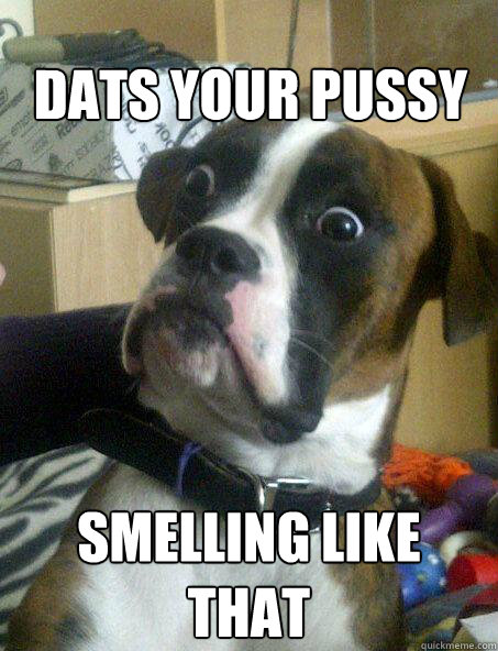 DATS YOUR PUSSY SMELLING LIKE THAT  Baffled boxer