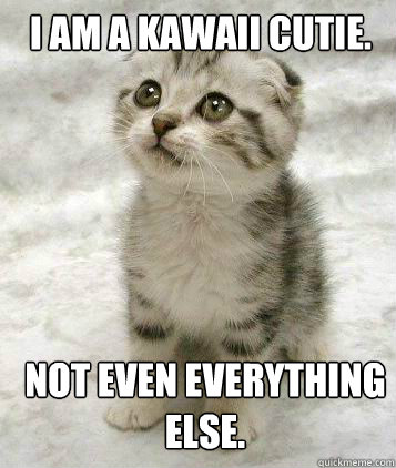 I am a kawaii cutie. Not even everything else.  super cute cat