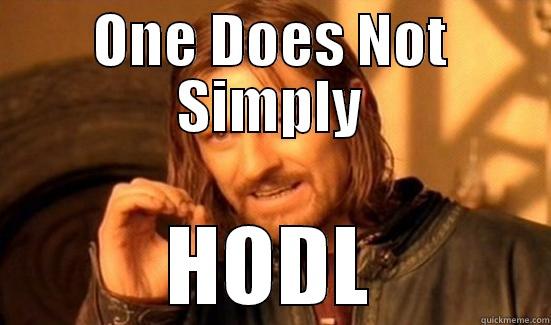 ONE DOES NOT SIMPLY HODL Boromir