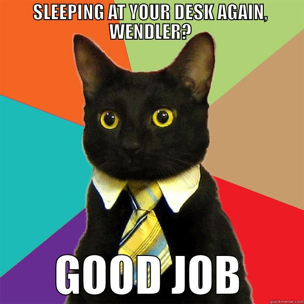 SLEEPING AT YOUR DESK AGAIN, WENDLER? GOOD JOB Business Cat