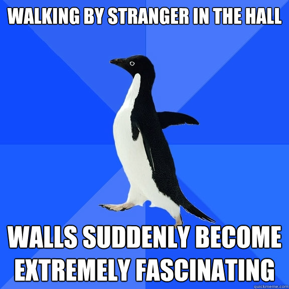 Walking by stranger in the hall Walls suddenly become extremely fascinating  Socially Awkward Penguin