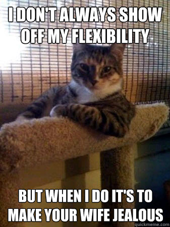 I don't always show off my flexibility but when I do it's to make your wife jealous  The Most Interesting Cat in the World