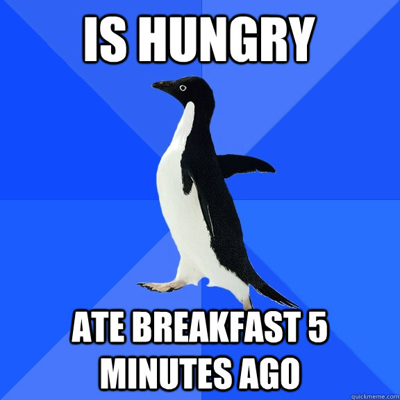 Is hungry Ate breakfast 5 minutes ago  Socially Awkward Penguin