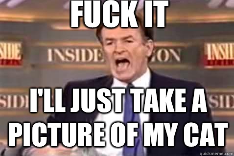 fuck it I'll just take a picture of my cat  Fuck It Bill OReilly