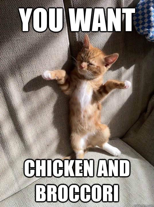 You want chicken and broccori - You want chicken and broccori  Good Idea Cat