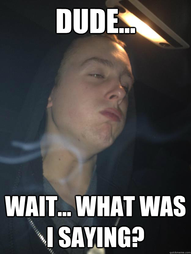 dude... wait... what was i saying? - dude... wait... what was i saying?  dylan to high
