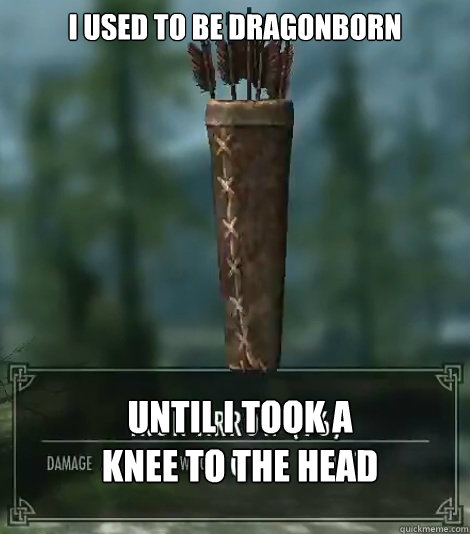 I Used To Be Dragonborn Until I Took A
Knee To The Head - I Used To Be Dragonborn Until I Took A
Knee To The Head  Arrow meme