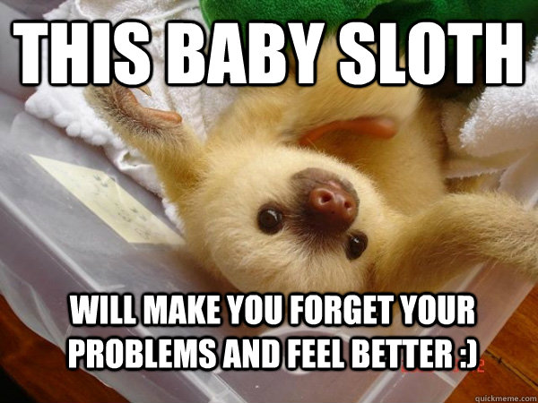 This baby sloth Will make you forget your problems and feel better :)   