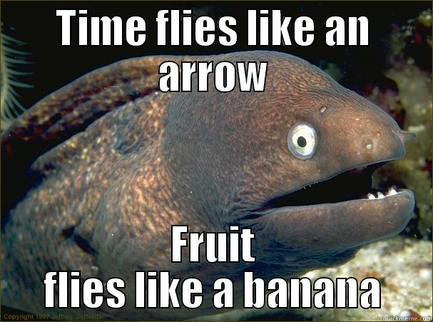 Time flies - TIME FLIES LIKE AN ARROW FRUIT FLIES LIKE A BANANA Bad Joke Eel