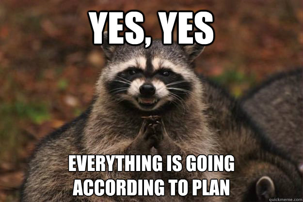 Yes, yes Everything is going 
according to plan  Evil Plotting Raccoon